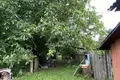 Haus 49 m² Mizevicy, Belarus
