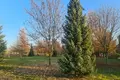 Land 2 841 m² Krobia, Poland