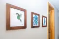 Condo 17 pokojów 1 087 m² Roatan, Honduras