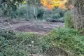 Land 1 room  Chorepiskopi, Greece