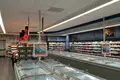 Commercial property 1 043 m² in Hecklingen, Germany