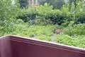 Квартира 2 комнаты 49 м² Слоним, Беларусь