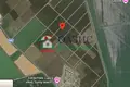 Nieruchomości komercyjne 6 013 m² Tankovo, Bułgaria