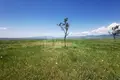 Grundstück 9 000 m² Tiflis, Georgien