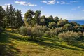 Atterrir 4 010 m² Neos Marmaras, Grèce
