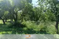 Производство 240 м² Ячево, Беларусь