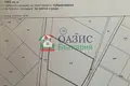 Commercial property 7 601 m² in Kosharitsa, Bulgaria