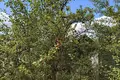 Дом 2 комнаты 37 м² Озерицко-Слободской сельский Совет, Беларусь