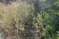 Land 1 room  Agios Mattheos, Greece
