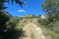 Land  Tbilisi, Georgia