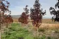 Land  Khoni, Georgia