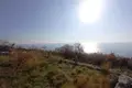 Propiedad comercial  en Montenegro, Montenegro