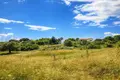 Działki 8 000 m² Megali Panagia, Grecja