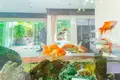 6-Schlafzimmer-Villa 550 m² Kathu, Thailand