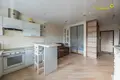 Apartment 41 m² Minsk, Belarus