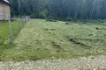 Parcelas  Rakauski sielski Saviet, Belarús