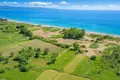 Land 4 480 m² Megali Panagia, Greece