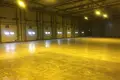 Nieruchomości komercyjne 5 000 m² w Marupe, Łotwa