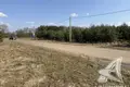 Land  Zhabinka, Belarus