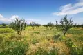 Działki 11 740 m² Gori, Gruzja