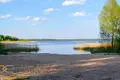 Dom 38 m² Pokrasauski sielski Saviet, Białoruś