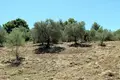 Atterrir 1 chambre  Neos Marmaras, Grèce