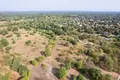 Land 1 room 3 902 m² Otwock, Poland