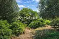Земельные участки 11 000 м² Амолиани/Амулиани/Амульяни/Аммулияни, Греция