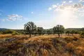 Land 8 570 m² Municipality of Sithonia, Greece
