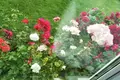 Haus 4 zimmer 86 m² Fanipal, Belarus
