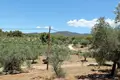 Atterrir 1 chambre  Neos Marmaras, Grèce