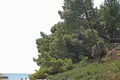 Hôtel 580 m² à Sykia, Grèce