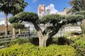 Appartement 2 chambres  Benidorm, Espagne