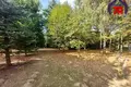 House 192 m² Usyazh, Belarus