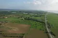Land  Mazotos, Cyprus