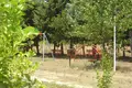 Grundstück 1 zimmer 18 000 m² Olympiada, Griechenland