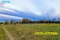 Земельные участки  Prutele, Литва