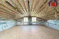 Casa 130 m² Krasnadvorski sielski Saviet, Belarús