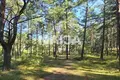 Land  Gauja, Latvia