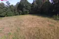 Działki  Olita, Litwa