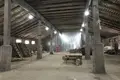 Commercial property 1 room 850 m² in Pudost, Russia