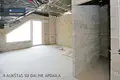 Commercial property 750 m² in Druskininkai, Lithuania