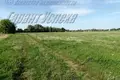 Haus 43 m² Matykalski sielski Saviet, Belarus