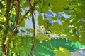 House 66 m² Usiazski sielski Saviet, Belarus
