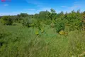 Atterrir  Suoliai, Lituanie