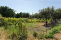 Atterrir 500 m² Municipality of Patras, Grèce