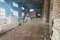 Manufacture 1 379 m² in Vuhly, Belarus