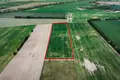 Parcelas 13 344 m² Murowana Goslina, Polonia