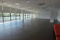 Office  in Limassol, Cyprus