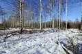 Land 1 700 m² Skultes pagasts, Latvia